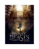 Παζλ Αφίσα - Fantastic Beasts - Macusa