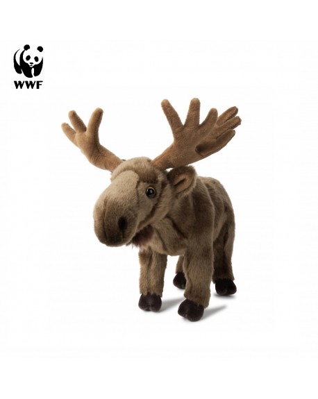 Reindeer WWF